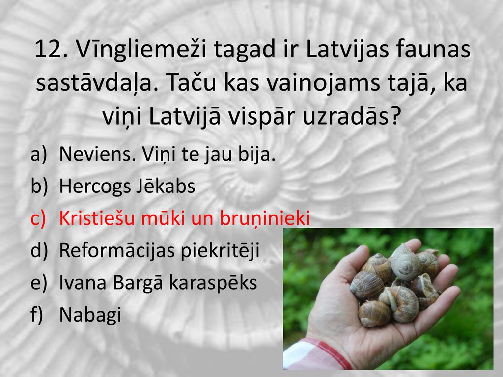 12. Vīngliemeži tagad ir Latvijas faunas sastāvdaļa