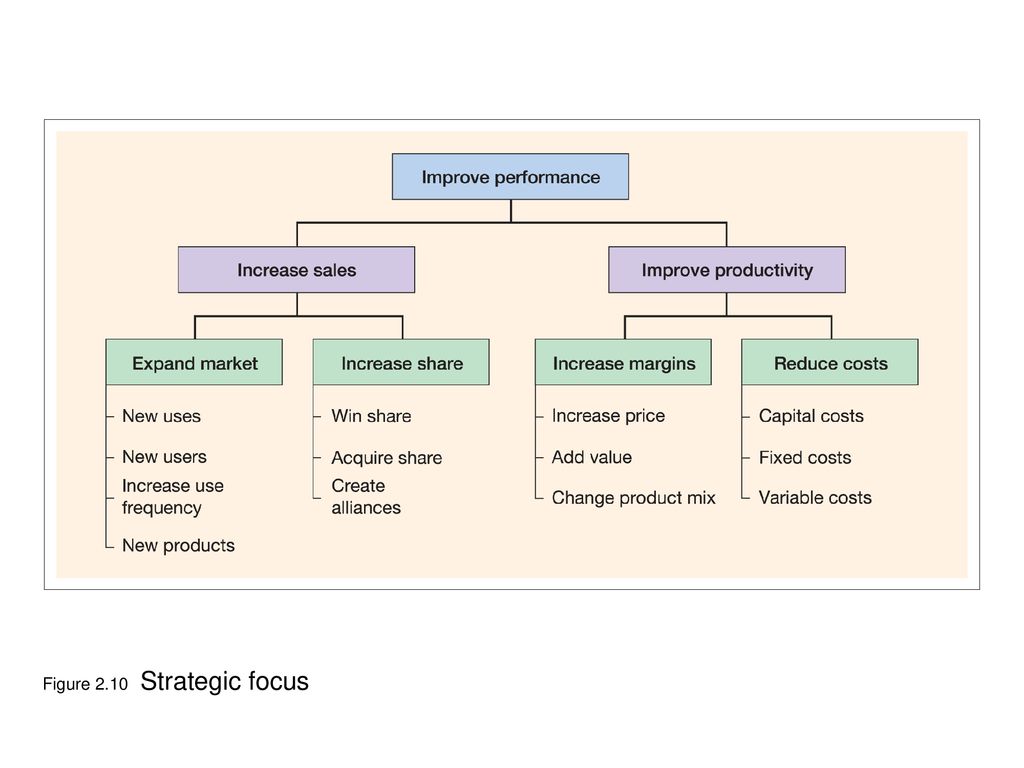 Figure 2.10 Strategic focus