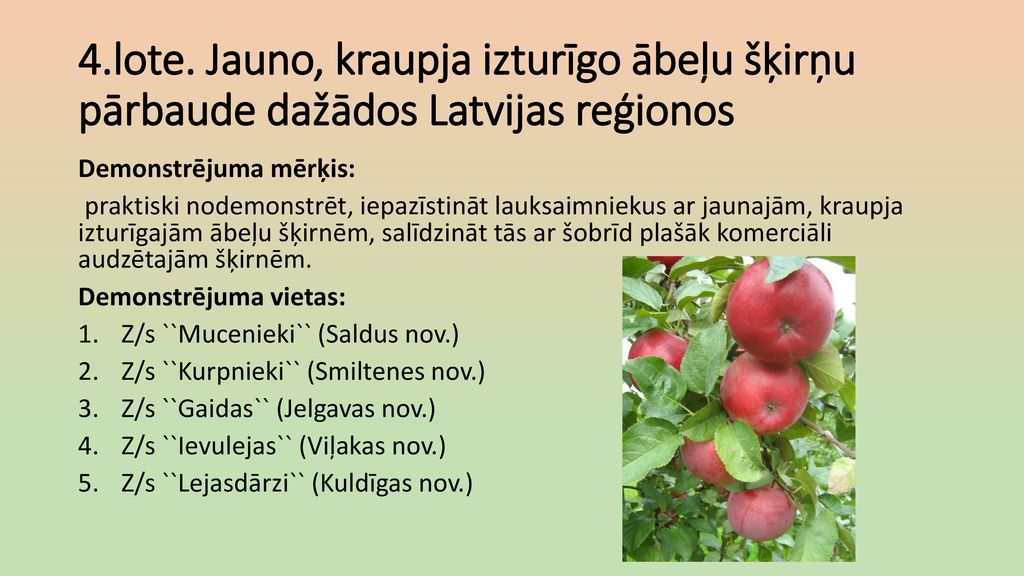 4.lote. Jauno, kraupja izturīgo ābeļu šķirņu pārbaude dažādos Latvijas reģionos