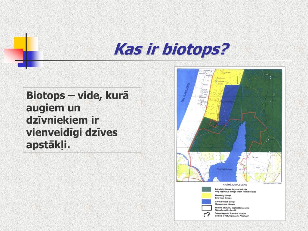 Kas ir biotops Biotops – vide, kurā augiem un dzīvniekiem ir vienveidīgi dzīves apstākļi.