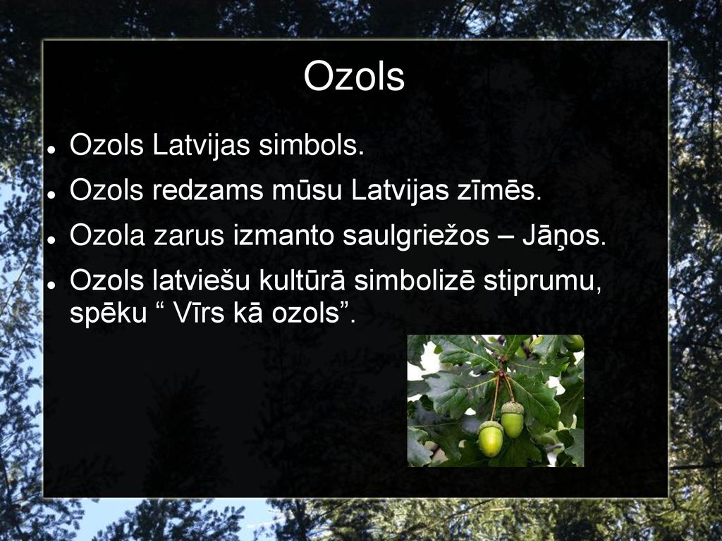 Ozols Ozols Latvijas simbols. Ozols redzams mūsu Latvijas zīmēs.